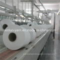 Pure Virgin Polyester Spun Yarn Knitting Yarn Ne30/1